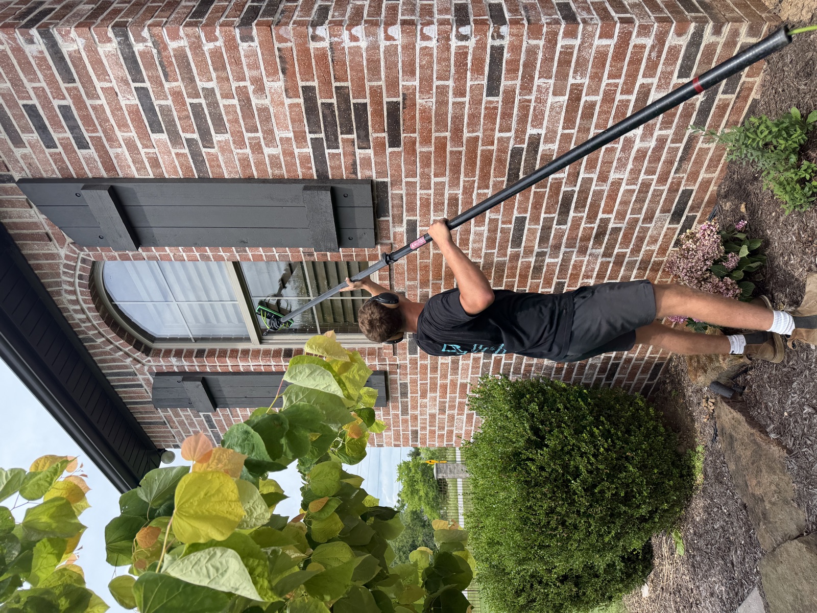 Window Cleaning